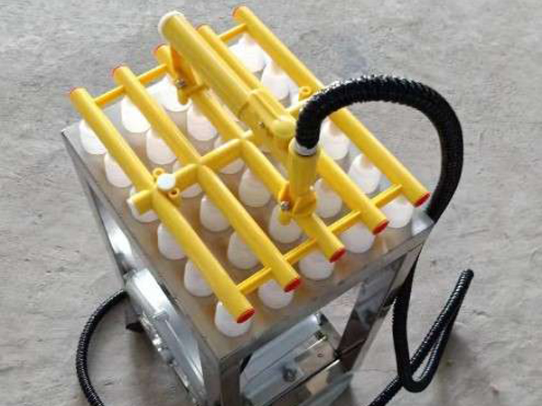 Provide Various Equipment for Egg Incubation