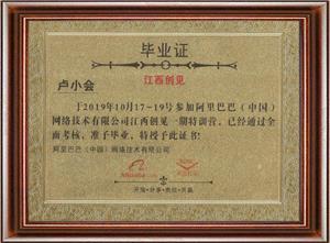 Special Training Camp Diploma