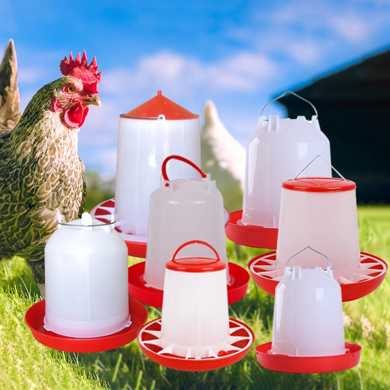 Animal Poultry Chicken Feeders And Drinkers