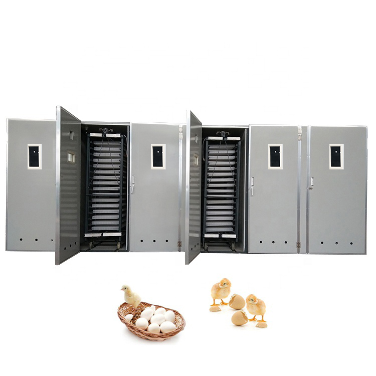 Auto Large Parrot Egg Incubator