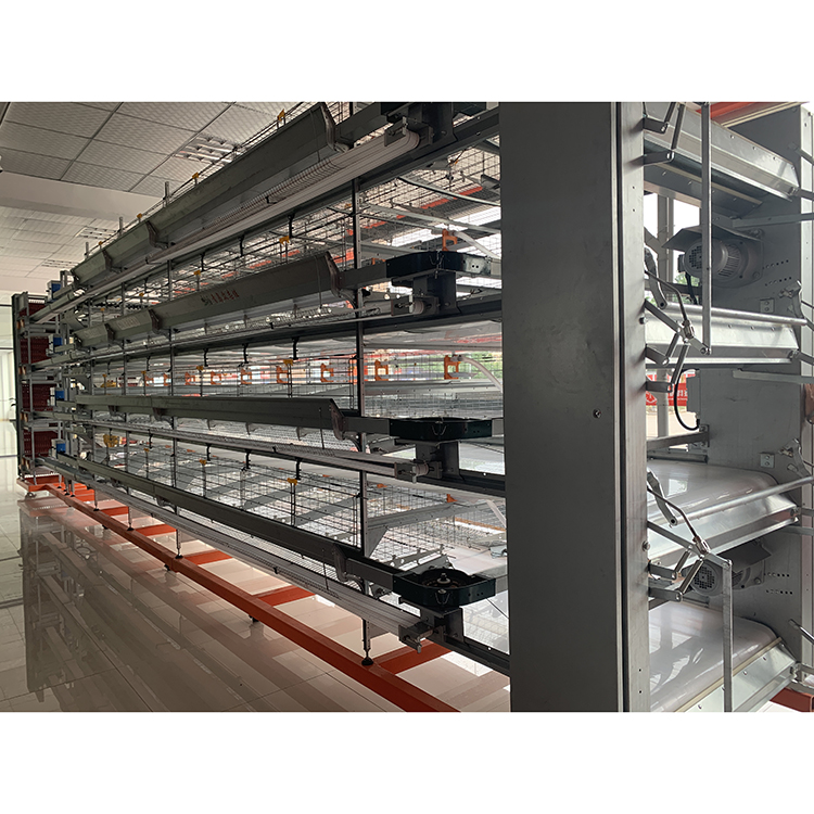 Chicken Broiler Battery Layer Cages
