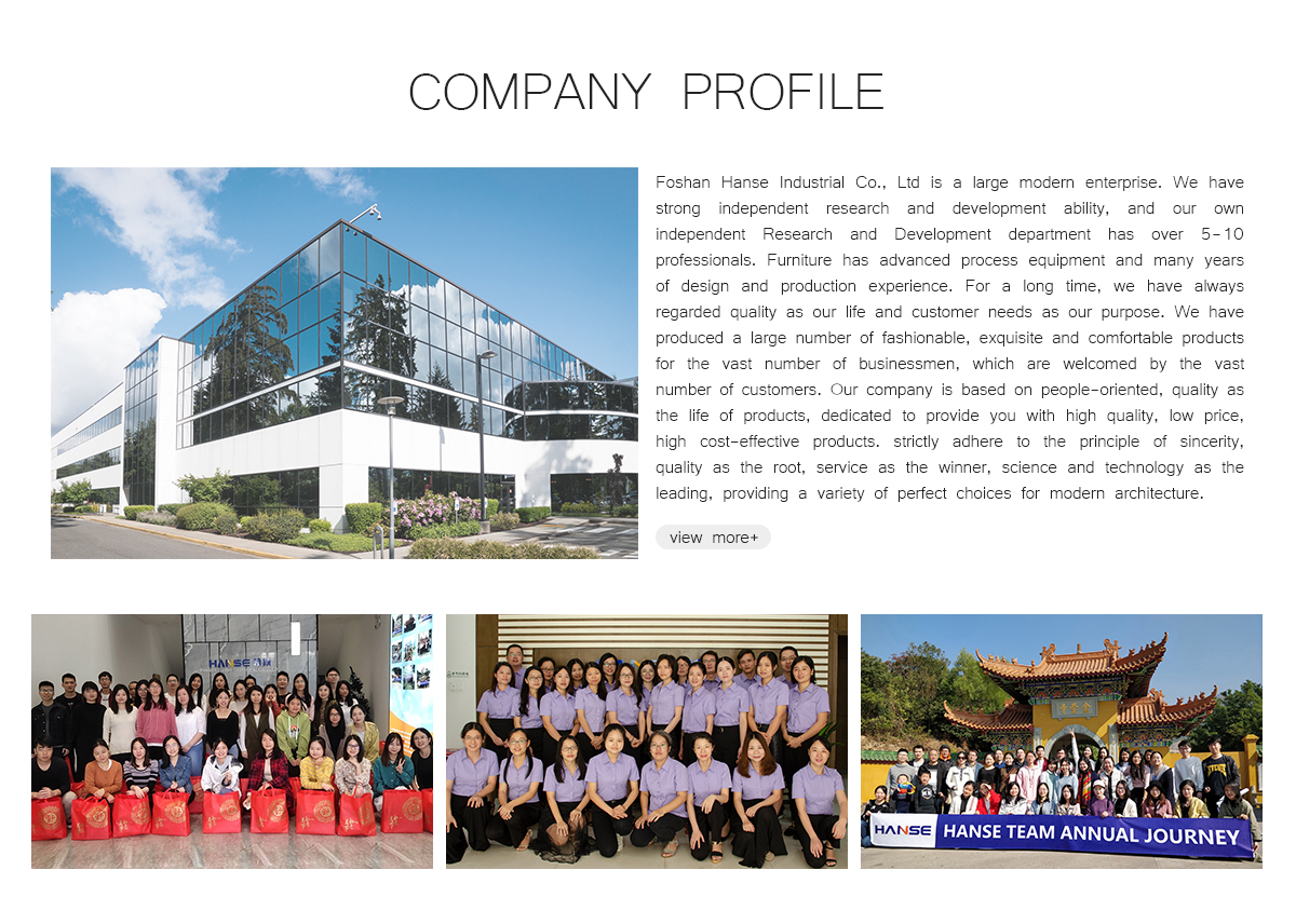 Foshan Hanse Industrial Co., Ltd. Foshan Hanse Industrial Co., Ltd.