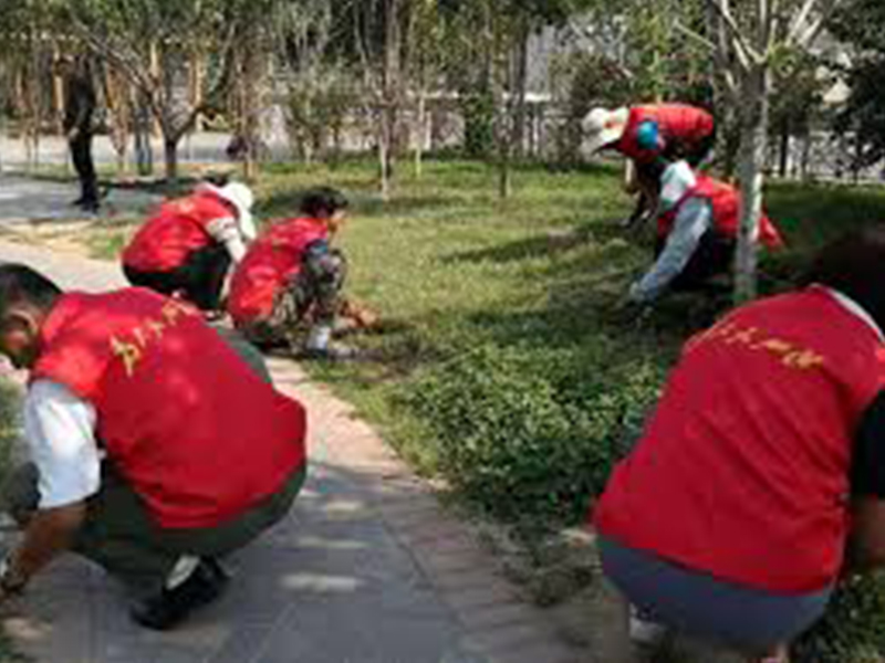 教育的な従業員保護環境