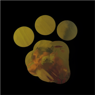 Metallic Gold Confetti Circle