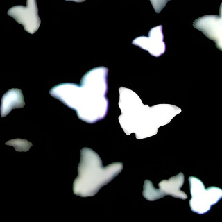 Vlindervorm Papieren Confetti Aangepast