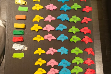 Take Flight: Our Custom Bird-Shaped Confetti Soared at Zhang Yuan’s Concert!