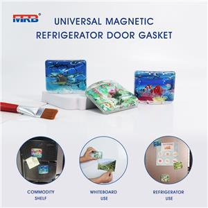 Decorative Magnets for Fridge Cute Fridge Magnets for Office and Kitchen Succulent Whiteboard Magnets for Locker