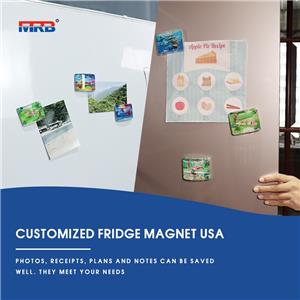 Decorative Magnets for Fridge Cute Fridge Magnets for Office and Kitchen Succulent Whiteboard Magnets for Locker