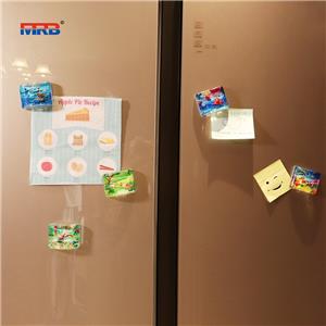 Decorative Magnets for Fridge Cute Fridge Magnets for Office and Kitchen Succulent Whiteboard Magnets for Locker
