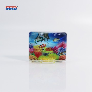 Decorative Magnets for Fridge Cute Fridge Magnets for Office and Kitchen Succulent Whiteboard Magnets for Locker