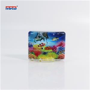 Decorative Magnets for Fridge Cute Fridge Magnets for Office and Kitchen Succulent Whiteboard Magnets for Locker