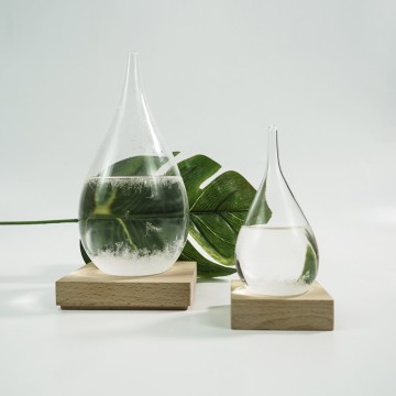 Decorative Barometers Predicting the coming storm Weather Forecaster storm bottle