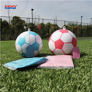 Party Supplies Gender Reveal Soccer Ball Blue and Pink Powder Kit Gender Reveal Party Supplies