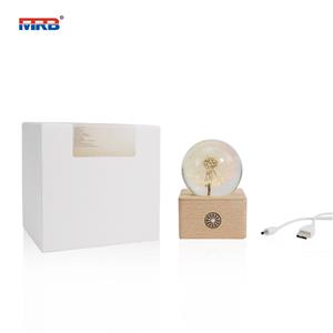 USB Rechargeable Touch Control Dandelion Night Light LED Dining Table Lamp Home Ornament Thinker Desk Lamp