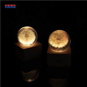 USB Rechargeable Touch Control Dandelion Night Light LED Dining Table Lamp Home Ornament Thinker Desk Lamp