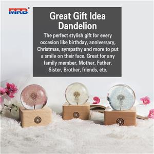 USB Rechargeable Touch Control Dandelion Night Light LED Dining Table Lamp Home Ornament Thinker Desk Lamp