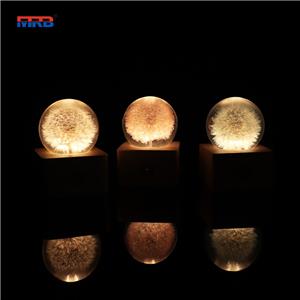 USB Rechargeable Touch Control Dandelion Night Light LED Dining Table Lamp Home Ornament Thinker Desk Lamp