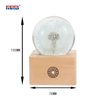 USB Rechargeable Touch Control Dandelion Night Light LED Dining Table Lamp Home Ornament Thinker Desk Lamp