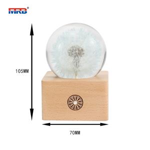 USB Rechargeable Touch Control Dandelion Night Light LED Dining Table Lamp Home Ornament Thinker Desk Lamp