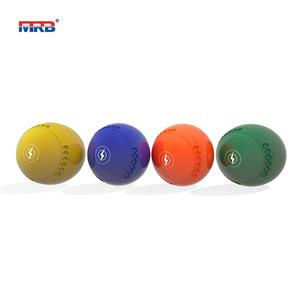 Premium Quality Lawn Boule Garden Game Outdoor Game Bocce Ball resin ball