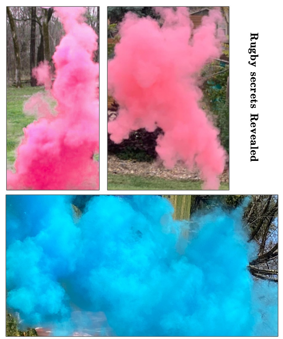 gender reveal powder rugby ball