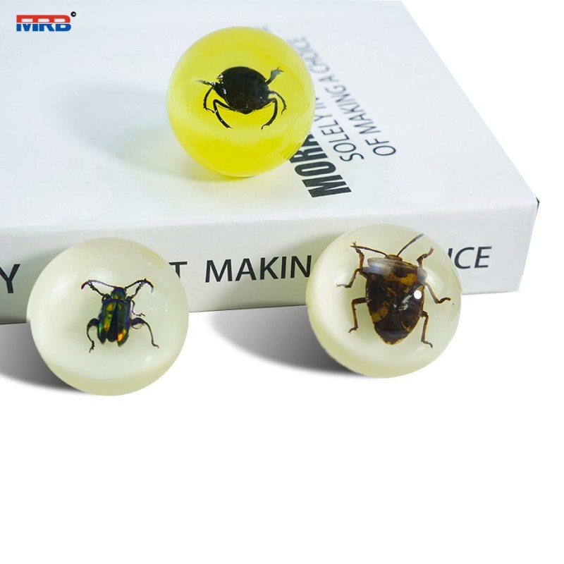 transparent epoxy resin natural real scorpion insects little animals decorative dome paperweight for home office decoration