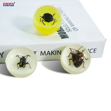 transparent epoxy resin natural real scorpion insects little animals decorative dome paperweight for home office decoration