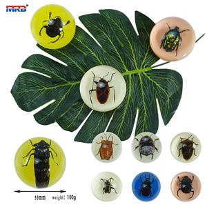 new product ideas 2025 in home Insect Paperweight Resin transparent luminous ball Real insect Ornament Taxidermy Insect frame