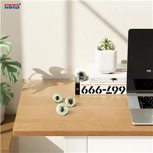 new product ideas 2025 in home Insect Paperweight Resin transparent luminous ball Real insect Ornament Taxidermy Insect frame