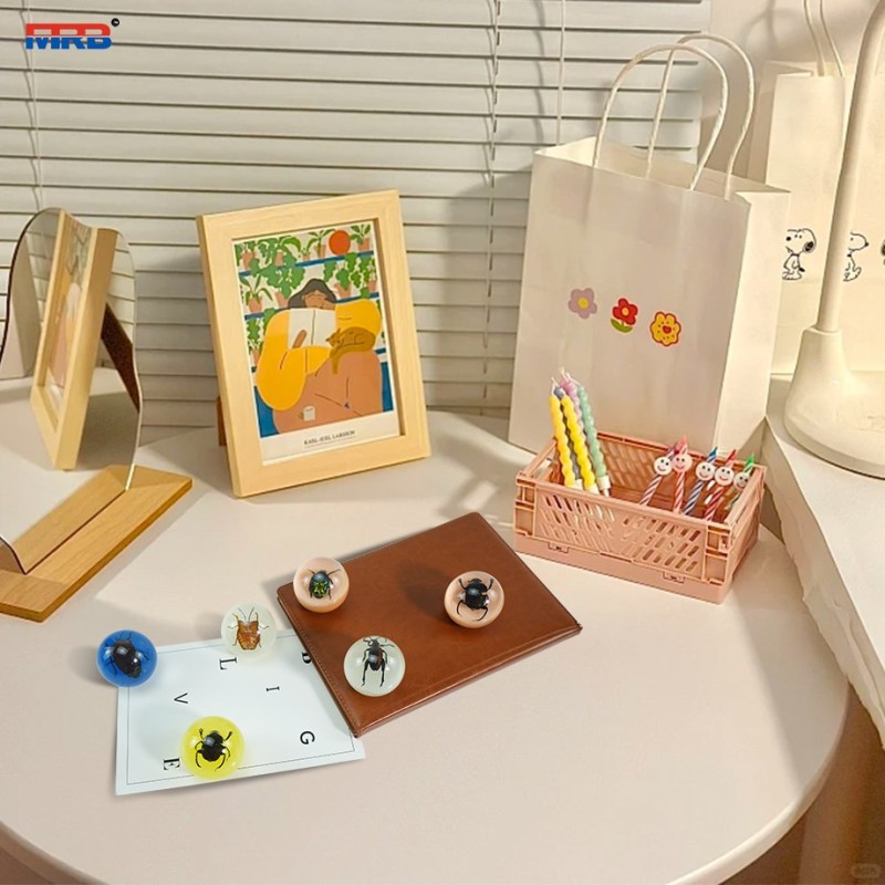 Scorpion Spider Chafer Beetle Paperweight Taxidermy Specimen Small Ornaments Insects Kindergarten Teaching