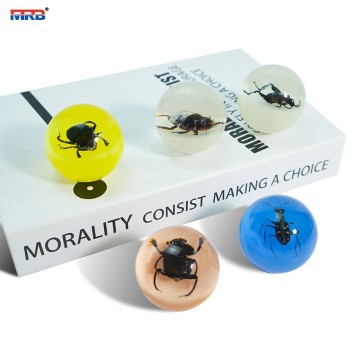 Rare find Insect Specimen Suitable For Any Occasion Gift Choice Handmade Resin Paperweight Taxidermy Specimen Scorpion