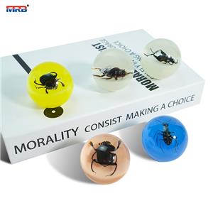 new product ideas 2025 in home Insect Paperweight Resin transparent luminous ball Real insect Ornament Taxidermy Insect frame