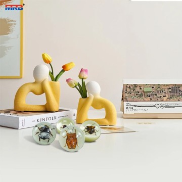 new product ideas 2025 in home Insect Paperweight Resin transparent luminous ball Real insect Ornament Taxidermy Insect frame