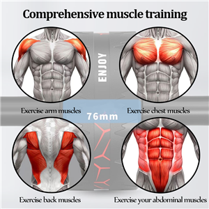 Multifunctional Home Gym Fitness for Ab Roller Wheels for Stomach Exercises and Abdominal Workouts