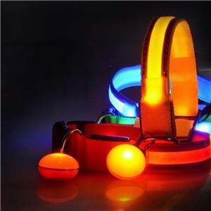 Lightweight USB Rechargeable Dog Collar Soft Padded for Comfort Charges Any Device via Micro USB Cable-No More Battery Changes!