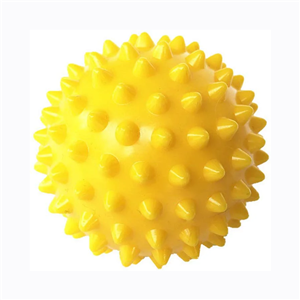 Portable Gym Office Home Use Physical Therapy Ball Set Lacrosse Spiky Massage Sticks Balls Rollers for Stress Relief Muscle