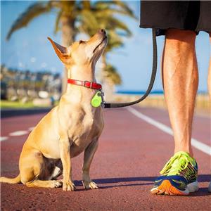 Bluetooth Pet Anti-Loss Device with Separation Alert Auto Disconnection Reminder Customizable Geofence