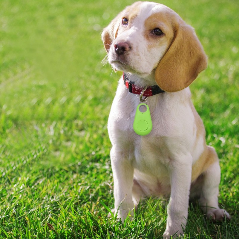 High Demand Pet Anti-Loss Tag Instant Bluetooth Disconnect Alert Custom Geofence Protection for Pets