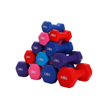 Wholesale Home Fitness Equipment Rubber Hex Dumbbells Female Use Gym