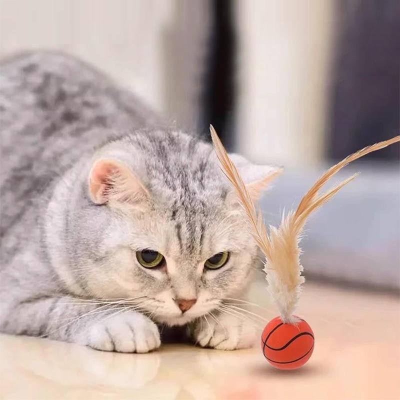 Interactive Indoor Cat Toys Feather Ball Bouncy Mini Basketball Soccer Baseball for Entertaining Chasing and Jumping Fun