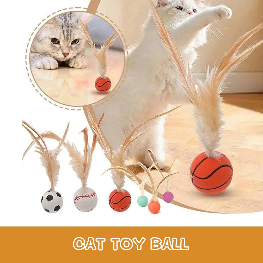 Cat feather ball toys Indoor cat toys Bouncy balls for cats Cat basketball soccer Cat baseball toys Indoor cat bouncy balls Cat baseball for entertainment Interactive jumping toys for cats Cat feather ball interactive Bouncy soccer for cats Cat feather ball interactive toys Indoor cat bouncy balls Bouncy soccer for cats Cat basketball soccer toys Cat baseball for entertainment