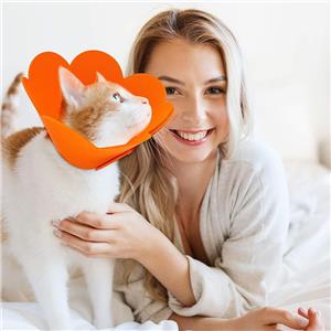 High Quality Soft Lightweight Non-Woven Pet Recovery Collar Adjustable Elizabethan Collar Cat Post-Surgery Use