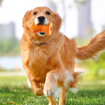 Durable Non - toxic Dog Toys for Aggressive Chewing Breeds Ensure Oral Health and Mental Stimulation via Food Dispensing