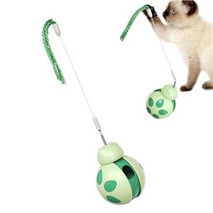Amazon's New Beetle Cat Toy Interactive Pet Product for Balance & Movement Training