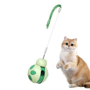 Amazon's New Beetle Cat Toy Interactive Pet Product for Balance & Movement Training