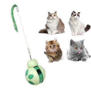 Amazon's New Beetle Cat Toy Interactive Pet Product for Balance & Movement Training