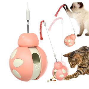Amazon's New Beetle Cat Toy Interactive Pet Product for Balance & Movement Training