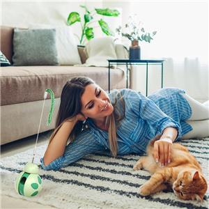 Amazon's New Beetle Cat Toy Interactive Pet Product for Balance & Movement Training