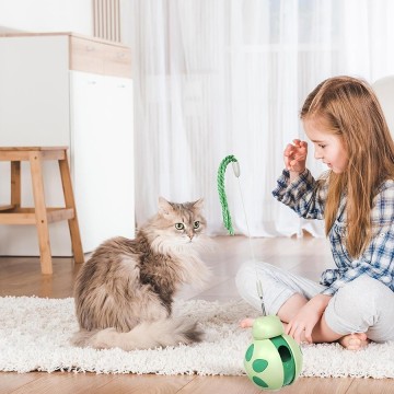 Amazon's New Beetle Cat Toy Interactive Pet Product for Balance & Movement Training