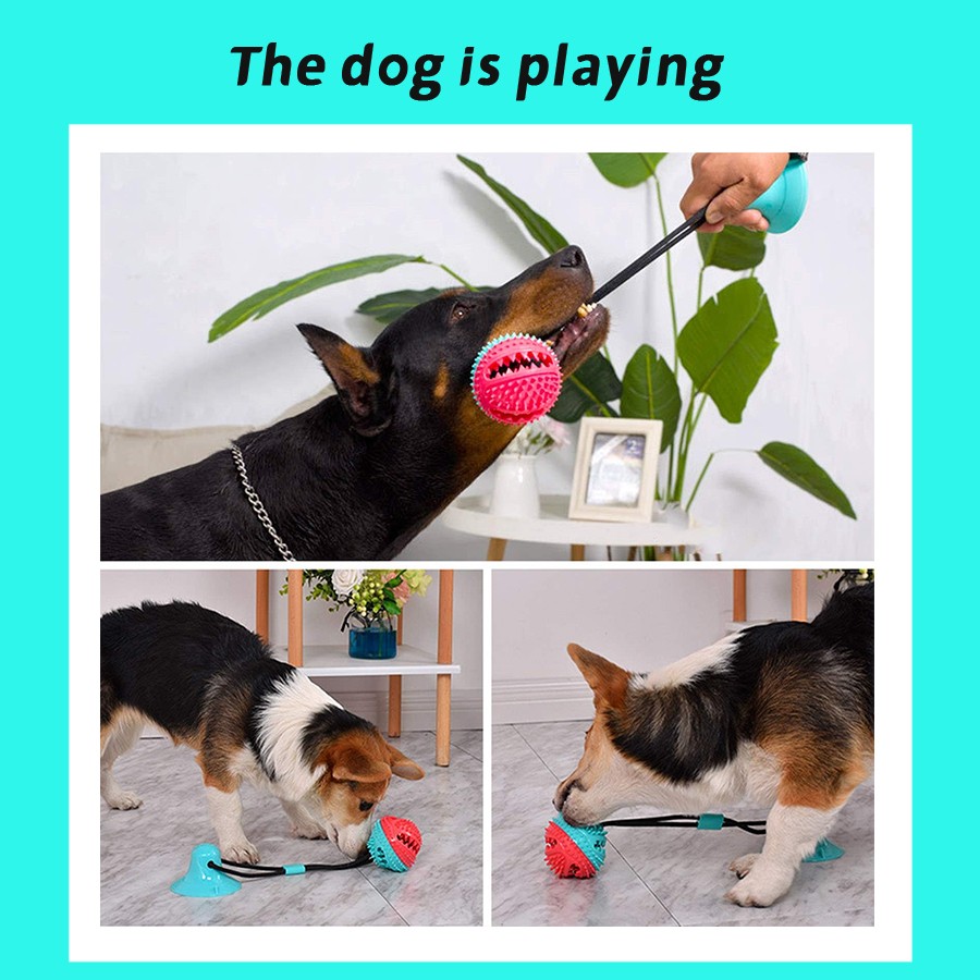 Animal Food Feeder